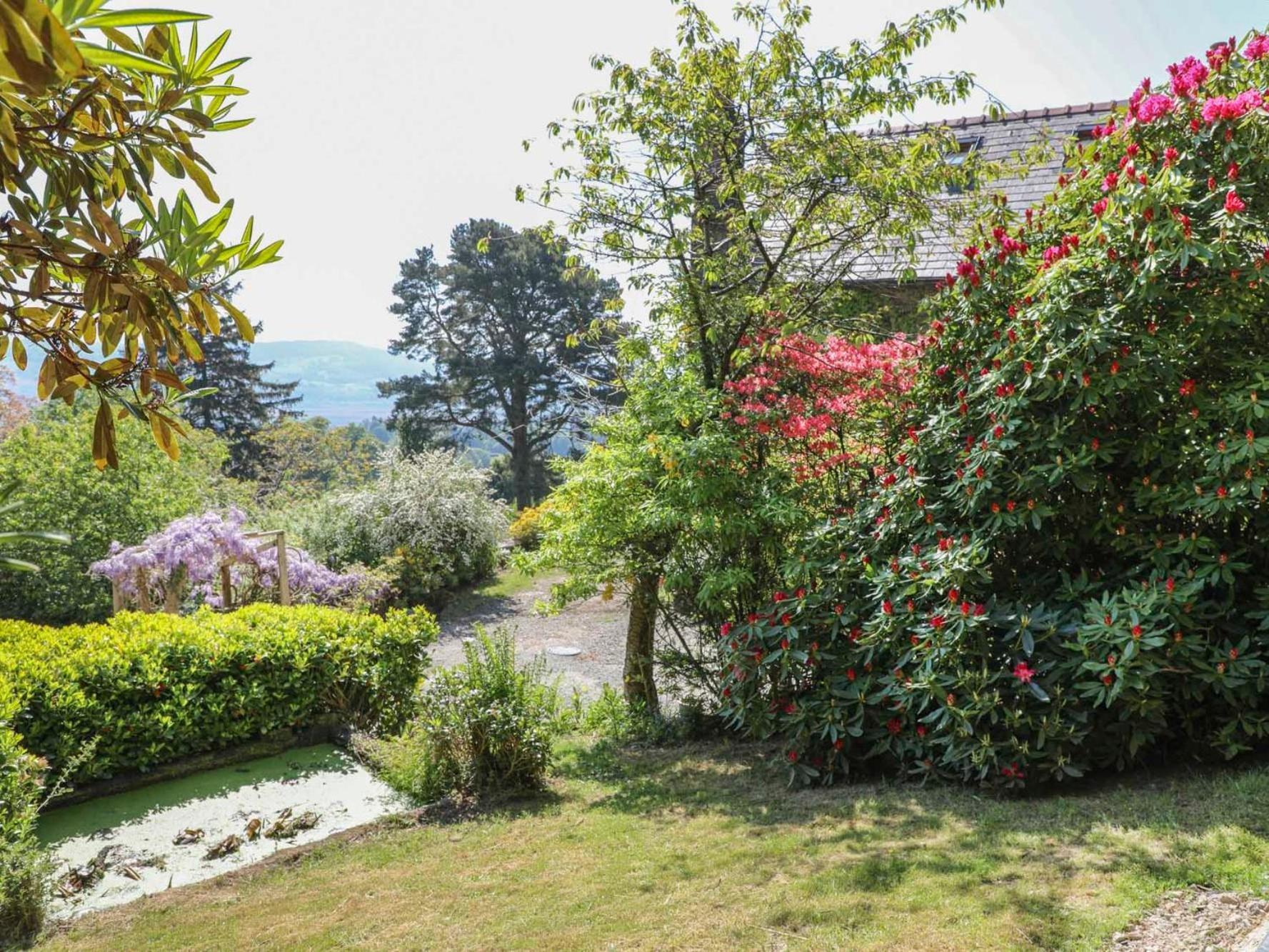 Ty'N Y Cae Villa Llanbedr-y-cennin Eksteriør billede