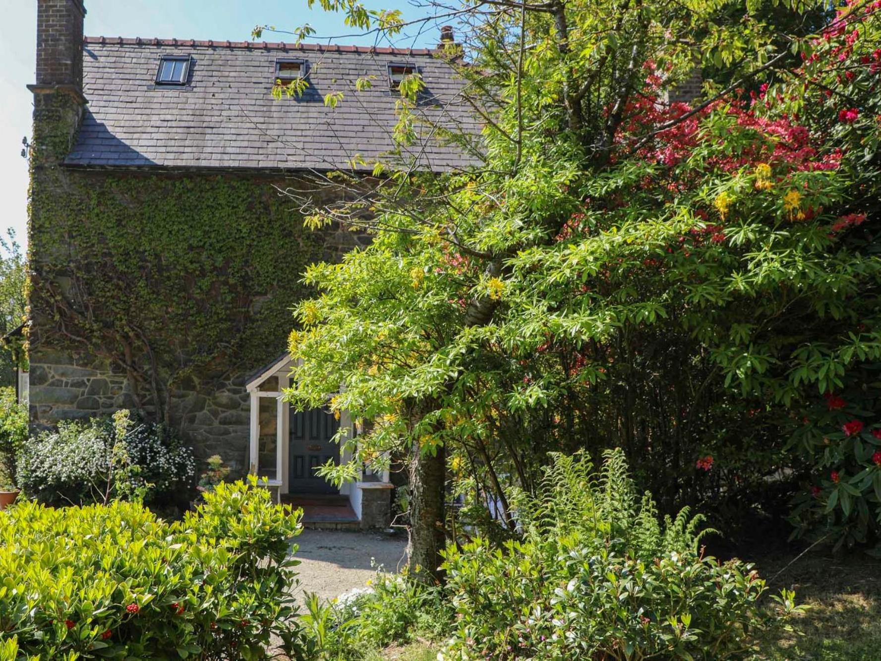 Ty'N Y Cae Villa Llanbedr-y-cennin Eksteriør billede